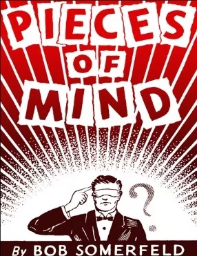 Pieces of Mind By Bob Somerfeld - Click Image to Close